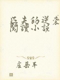 匹夫的逆袭免费阅读小说