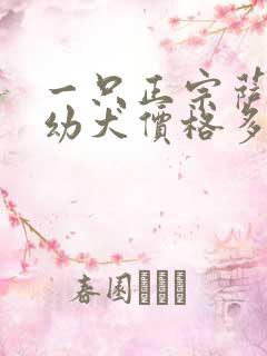 一只正宗萨摩耶幼犬价格多少钱
