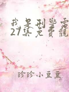 我是刑警电视剧27集免费观看