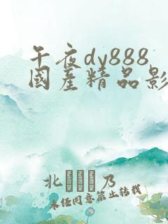 午夜dy888国产精品影院