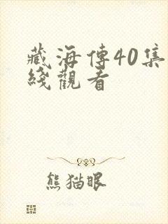 藏海传40集在线观看