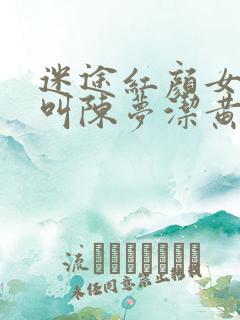 迷途红颜女主角叫陈梦洁黄杰全文阅读
