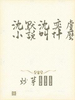 沈默沈奕虞念念小说叫什么名字