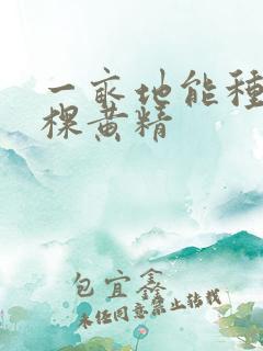 一亩地能种多少棵黄精