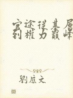 官途从基层科长到权力巅峰的小说