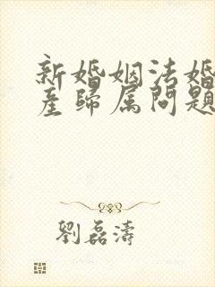 新婚姻法婚前财产归属问题
