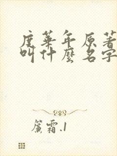度华年原著小说叫什么名字