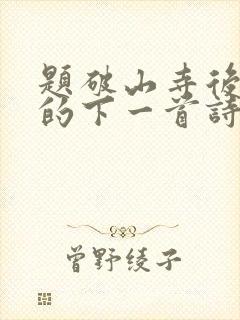 题破山寺后禅院的下一首诗