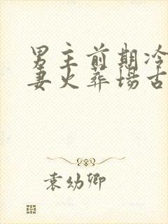 男主前期冷淡追妻火葬场古言