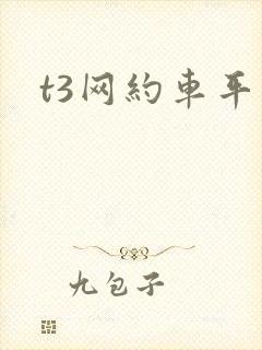 t3网约车平台