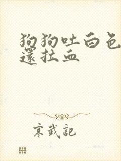 狗狗吐白色粘液还拉血