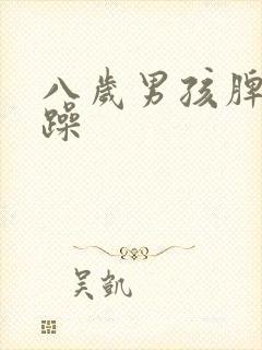 八岁男孩脾气暴躁