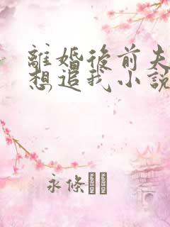 离婚后前夫总是想追我小说免费阅读全本