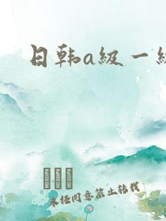 日韩a级一级片