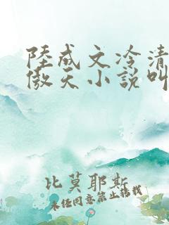 陆成文冷清秋龙傲天小说叫什么名字