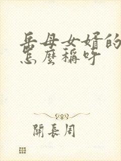 岳母女婿的关系怎么称呼