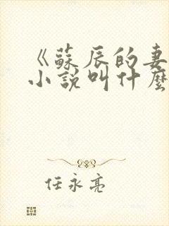 《苏辰的妻子》小说叫什么名字 《苏辰的妻子》小说叫什么名字
