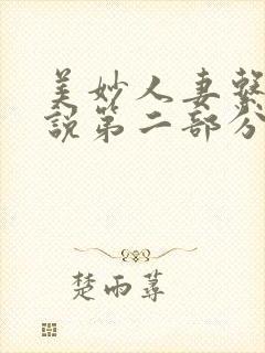 美妙人妻系列小说第二部分