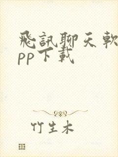 飞讯聊天软件app下载