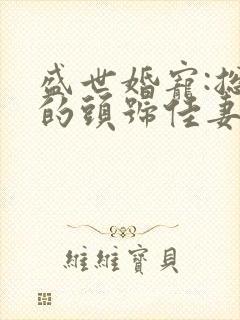 盛世婚宠:总裁的头号佳妻