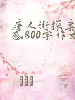 唐人街探案观后感800字作文