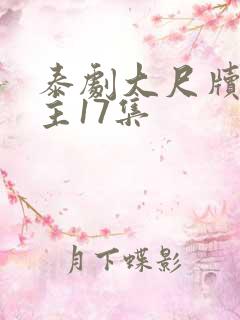 泰剧大尺牍双男主17集