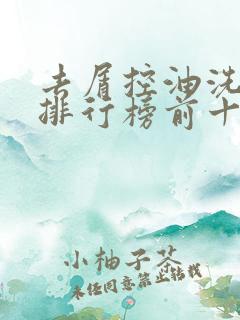去屑控油洗发水排行榜前十名