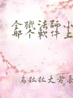 全职法师小说在哪个软件上看