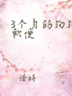 3个月的狗狗拉软便 3个月的狗狗拉软便