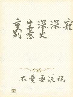 重生深深宠甜妻别惹火