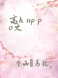 高h np po文
