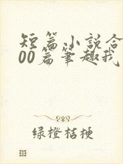 短篇小说合集500篇笔趣我的姨娘在线阅读
