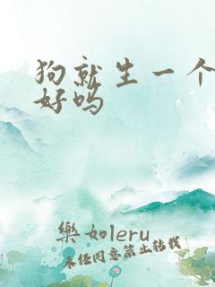 狗就生一个小狗好吗