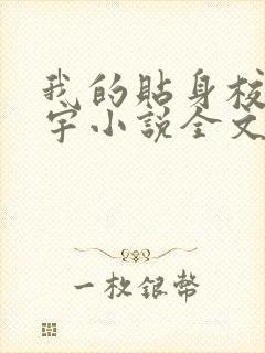 我的贴身校花唐宇小说全文