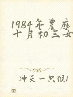 1984年农历十月初三女鼠命运