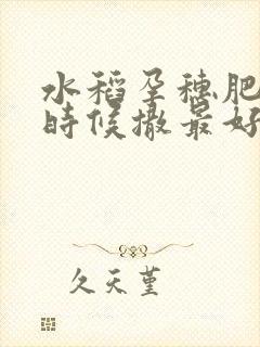 水稻孕穗肥什么时候撒最好