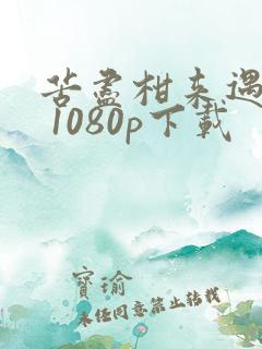 苦尽柑来遇见你 1080p下载