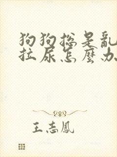 狗狗总是乱拉屎拉尿怎么办