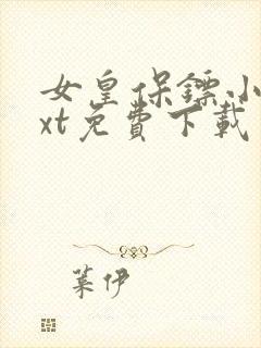 女皇保镖小说txt免费下载