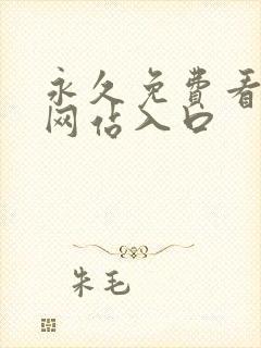 永久免费看mv网站入口