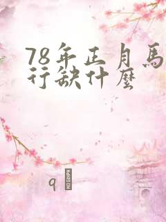78年正月马五行缺什么