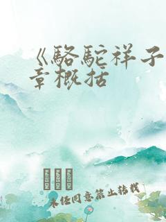 《骆驼祥子》每章概括