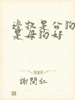 边牧是公狗好还是母狗好
