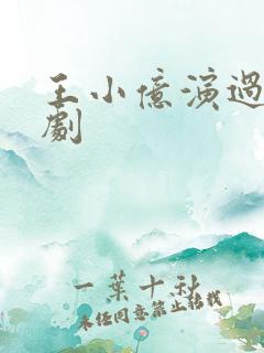 王小亿演过哪些剧