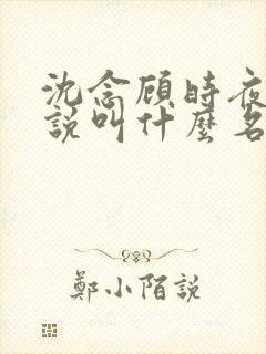 沈念顾时夜的小说叫什么名字