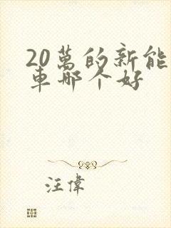 20万的新能源车哪个好