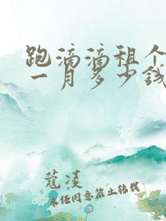 跑滴滴租个电车一月多少钱