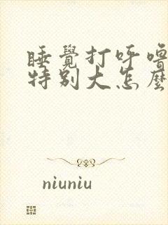 睡觉打呼噜声音特别大怎么办