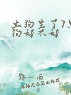 土狗生了7只小狗好不好