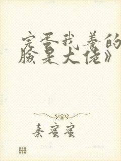 完蛋我养的小白脸是大佬》